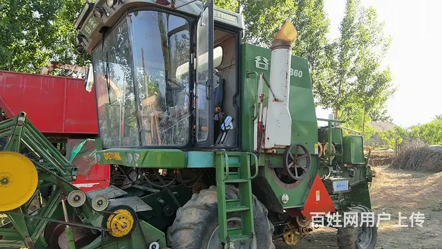 谷王60 - 图片 2