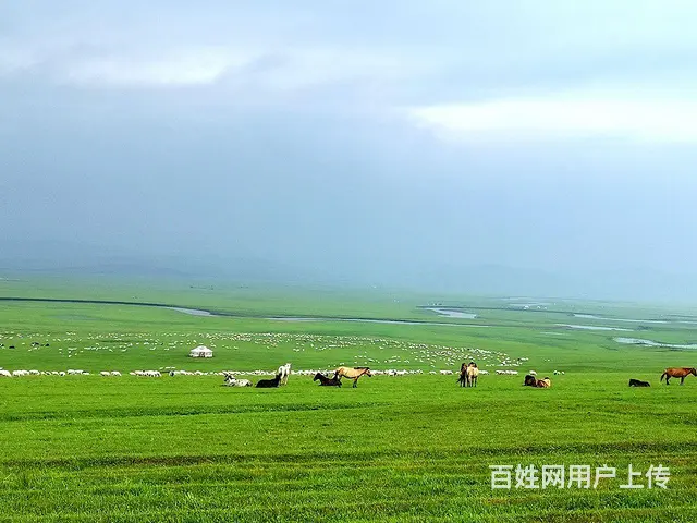 呼伦贝尔旅游包车师傅价格大草原包车靠谱师傅 - 图片 2