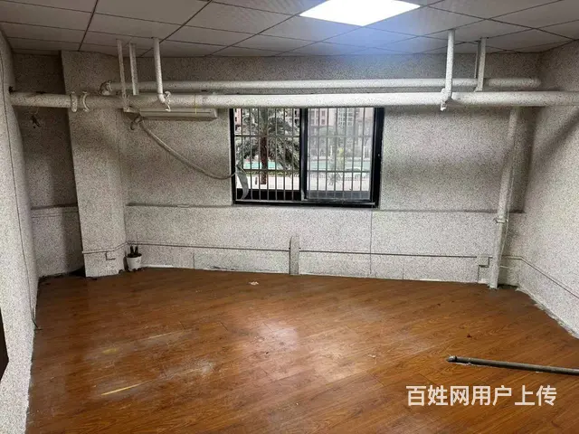 （51旺铺推荐）（椰博小学）滨江世纪佳城北院140平旺铺出租 - 图片 3
