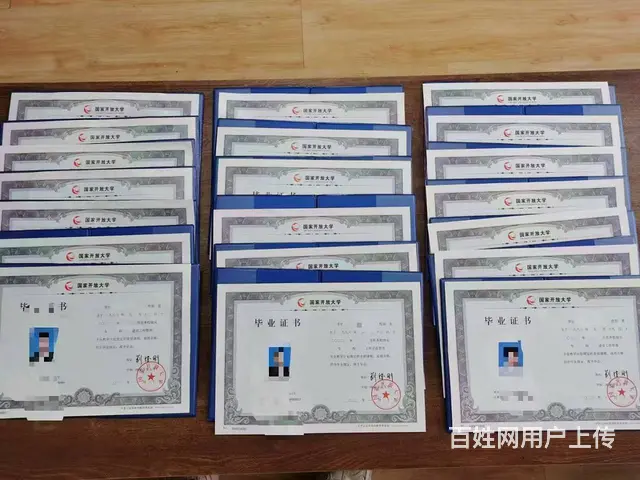 重庆南岸区渝中区2025年成考升本科怎么报名 - 图片