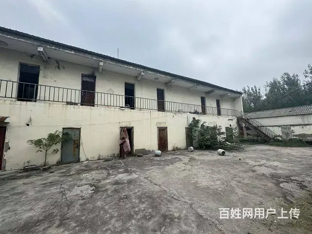 （徐州找店网）泉山区时代大道独院厂房出租 - 图片 4