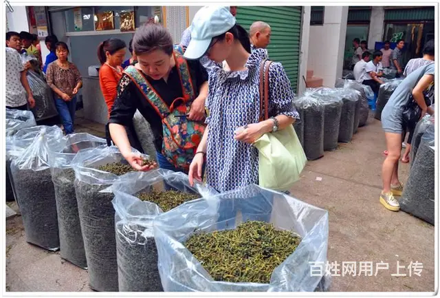 在哪里可以学习茶艺？天晟茶艺培训学校吗？ - 图片 7