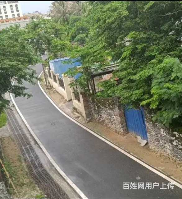 （51旺铺推荐）西岛317平整栋出租 - 图片 9