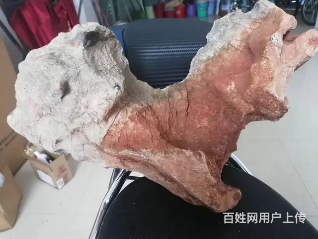 出售几块奇石，喜欢的联系 - 图片 5