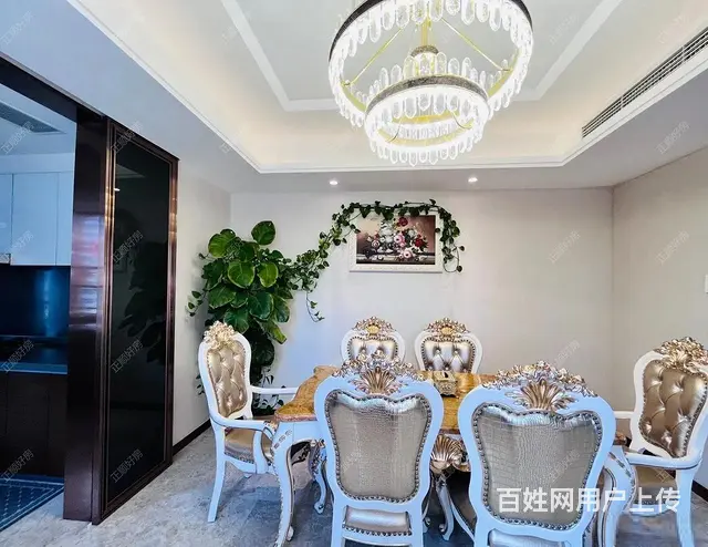 中信红树湾南区 232平 5房3卫 豪装 港珠澳大桥入口旁 - 图片 6