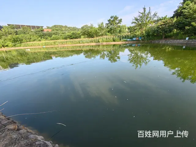 旺铺居）房东直租4.5亩鱼塘带三间房停车方便 - 图片 3