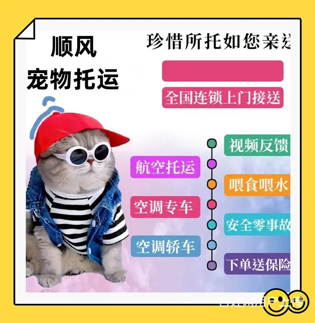 山南市宠物托运（猫狗）邮寄快递（2023今日 推荐运输 - 图片 3