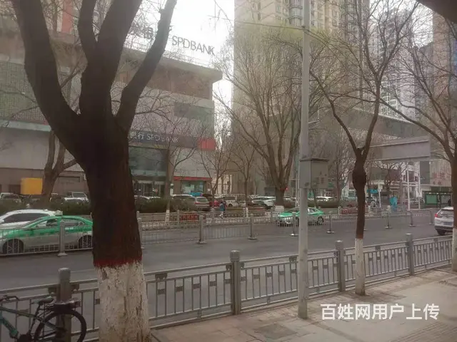 7605(七P）个人城西区胜利路五四大街临街旺铺低价转让 - 图片 6