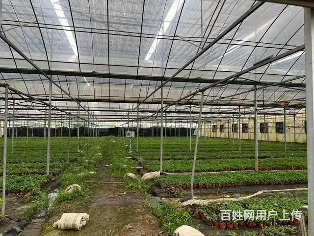 （徐州找店网）新河镇农业智慧园区出租或出售 - 图片 3