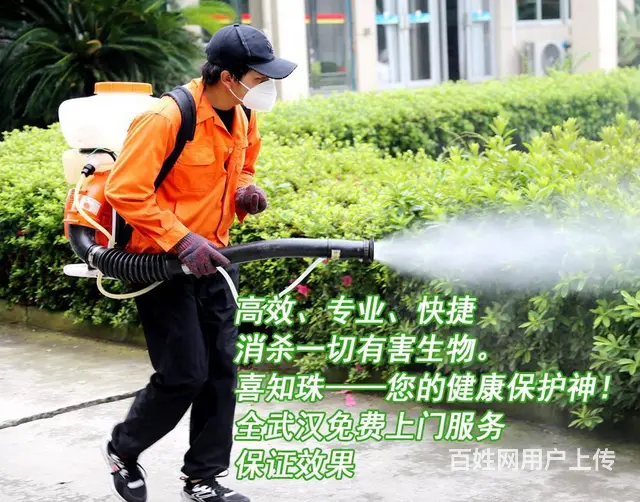 消杀行业专员培训招生启事 - 图片 3
