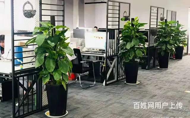 宿州代账，注销变更，代理记账 - 图片 1