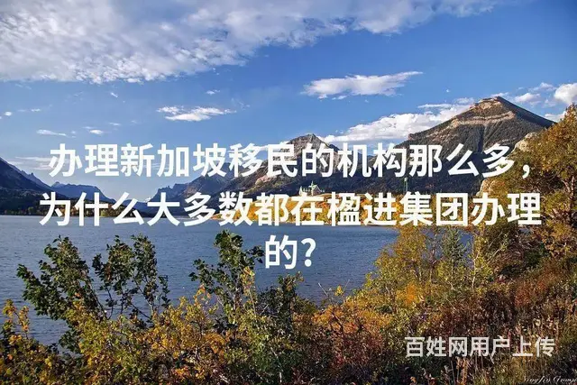 办理新加坡移民的机构那么多，为什么大多数都在楹进集 - 图片