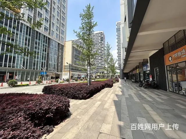 XSY） 成华满入住小区旺铺低价转让 - 图片 6