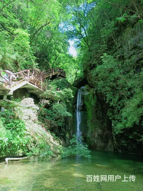 云岭兴山 昭君原野 华中 大的国际避暑康养度假谷 - 图片 5