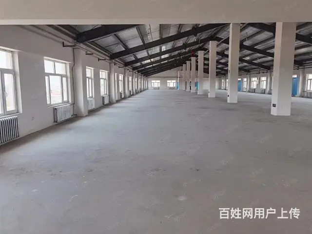 道里机场路薛家二场村厂房出租 - 图片 3