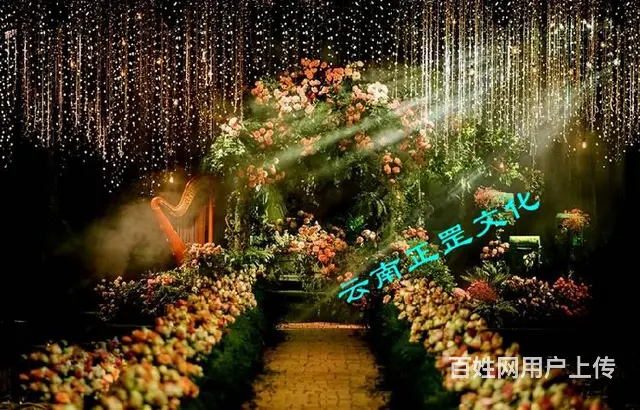 婚礼策划、场地布置、摄影摄像、大屏桌椅、演出表演 - 图片 8