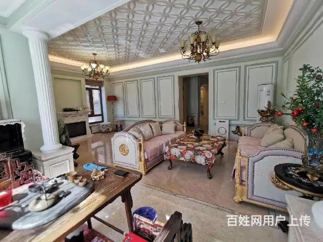 多套~可大谈盛和天下别墅边户 豪装未住 带双车位带家具 - 图片 1