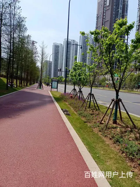【搞定了！】发展大道  夷陵万达旁  公寓出租 - 图片 3