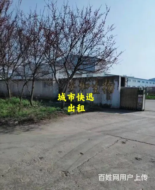 淮上区长征北路安加生物院内厂房出租 - 图片 1