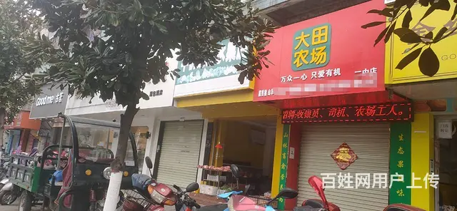 【搞定了！】热闹街道人流量大 生意好做 客源多 - 图片 3