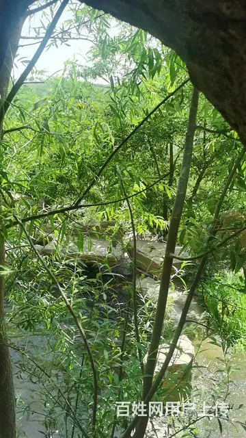 电脑加电脑桌出售 - 图片