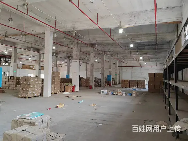 （老板本人）长沙市中心天心区标准仓库房东低价出租  6320 - 图片 6