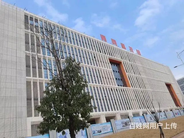 高新区 电子信息产业园 即将开园 单层厂房对外出租 - 图片 8