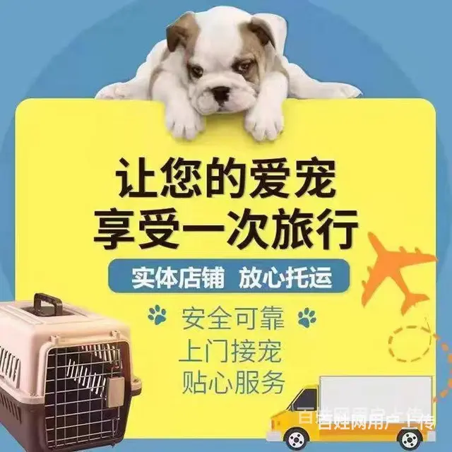 宜春托运宠物 （猫狗活体运输）快递至全国各地 - 图片 1