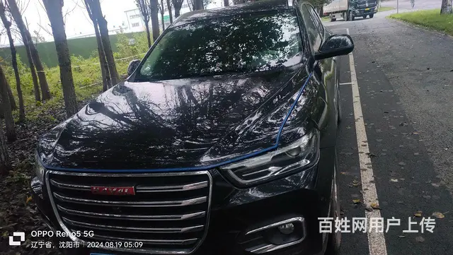 哈弗H6 2019款 1.5GDIT 双离合 冠军版红标 - 图片 1