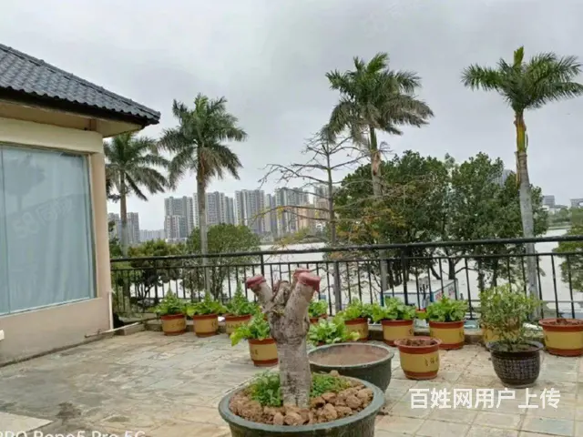 斗门商业综合体，房东直租 - 图片 1