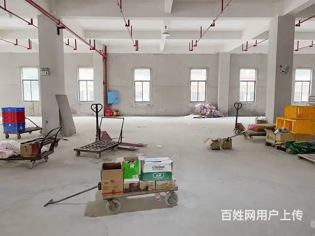 （老板本人）开福区中青路园区一楼厂房/仓库优价出租6787 - 图片 5