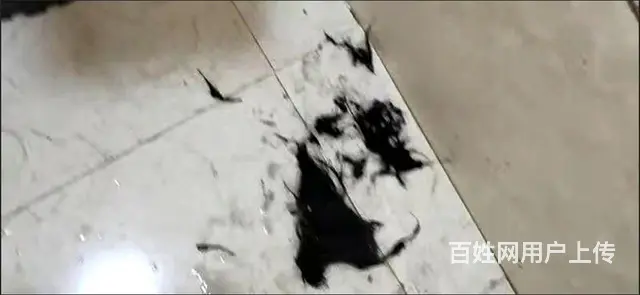 专业疏通，不通不收费 - 图片 1