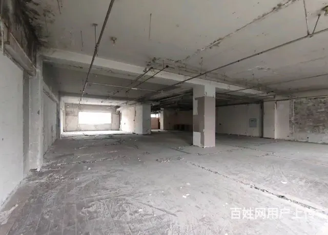 【搞定了！】道里区尚志大街哈一百商服门市出租房主直租 - 图片 5