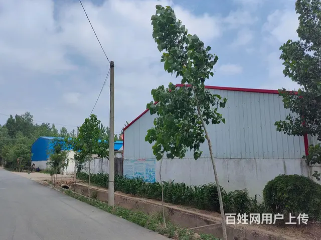 临沭县青云镇厂房出租 - 图片 1