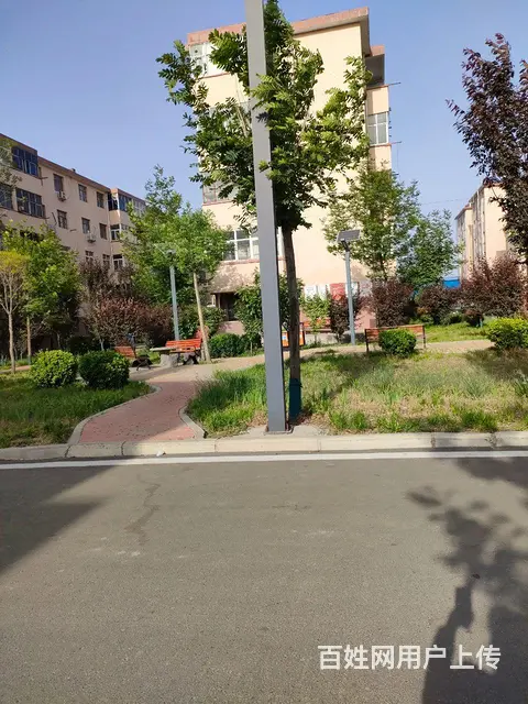 鹤山，馨苑十区，一楼，二室一厅，装修 - 图片 8