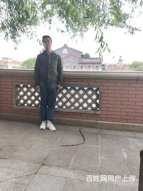 找个好老婆，我会好好爱她 - 图片 3