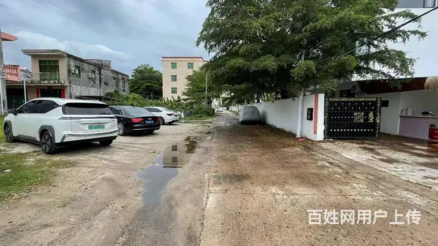 （51旺铺推荐）凤凰镇水蛟村1800平场地出租 - 图片 6