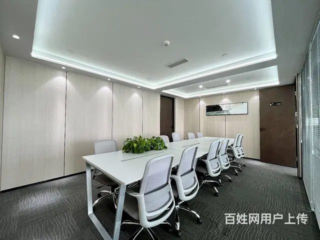天际项目东方希望天祥广场精装写字楼出租随时看房 - 图片 8