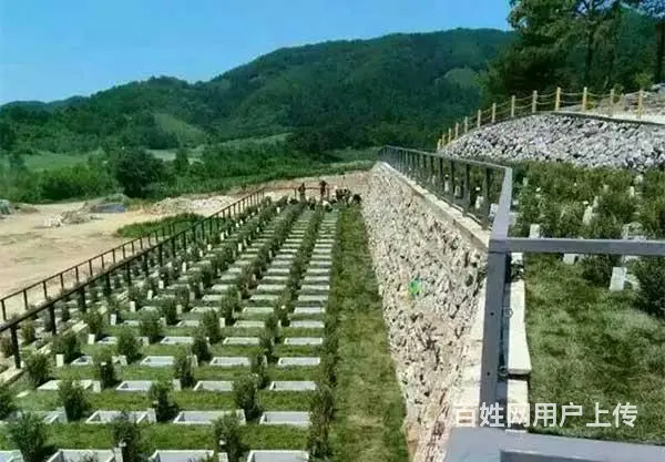 沈阳真山真水低价位公墓直销大伙房墓园，免费车看墓 - 图片 2