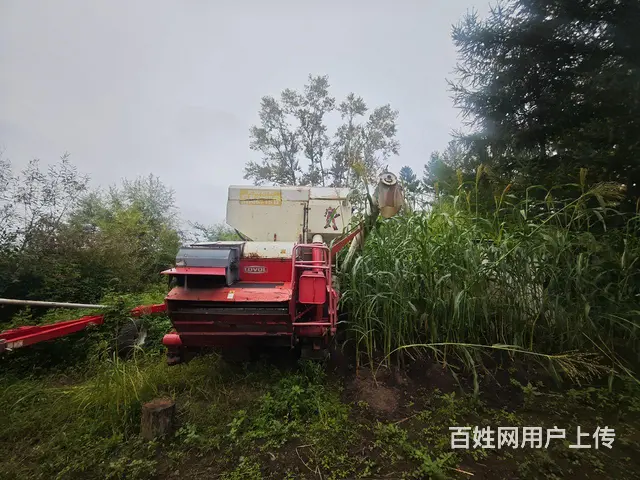 雷沃谷神RF40   也就是290 - 图片 2