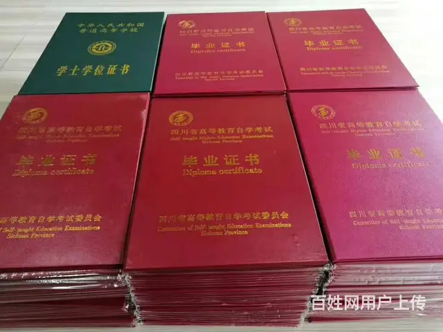成都成人教育培训中心 - 图片 10