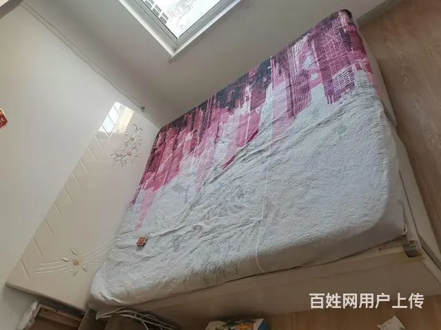 房屋出租 - 图片 3