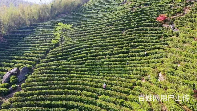 长沙零点团建多家农家乐游玩可提供方案策划 - 图片 3