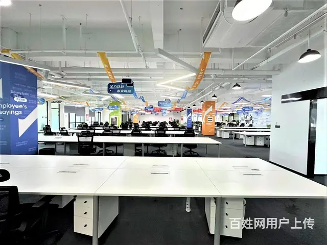 滨江独栋！科技电商AI 总部办公优选 超长免租期！定制装修！ - 图片 2