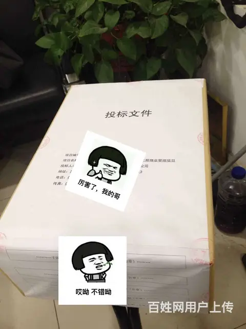 泰安专业标书制作【可提供一对一专业制作服务】 - 图片 8