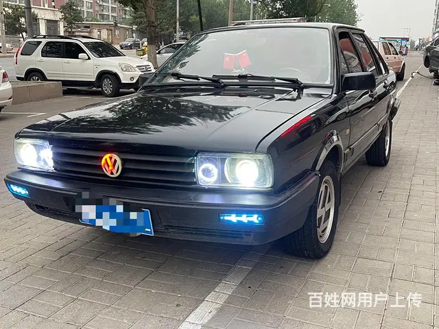 普桑 - 图片 2