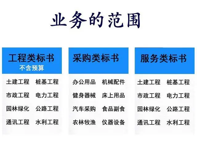合肥标书制作公司标书投标书代写投书制作电子标书代写 - 图片 3