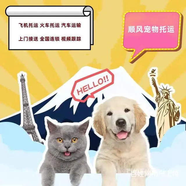 2022百色（猫狗）快递托运（宠物活体运输新*闻） - 图片 2