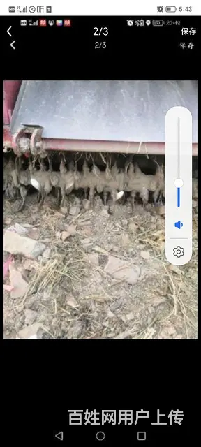 没出力的播种机 - 图片 5