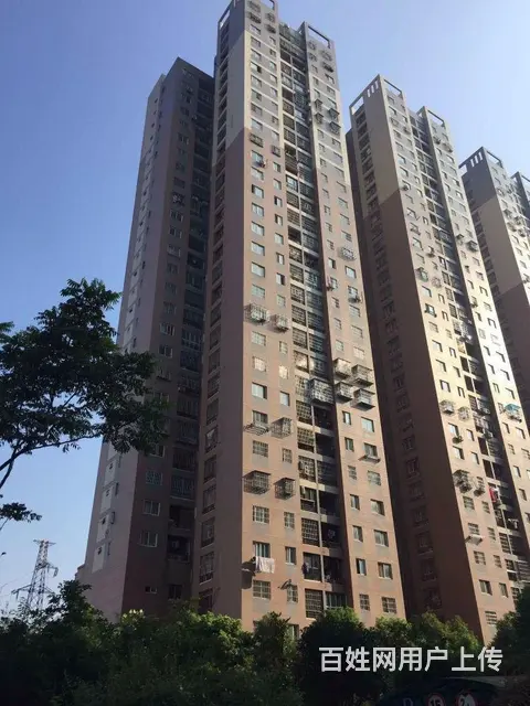 4号线铁机路地铁 岳家嘴 欢乐大道 金地广场 精装 - 图片 9